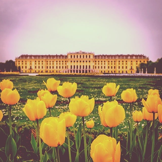 Schönbrunn Palace vienne
