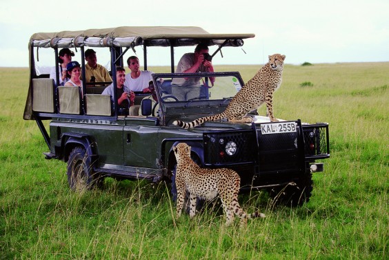 Safari em África