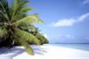 Maldive Dhonveli