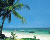 Kenya Coconut Beach 4*