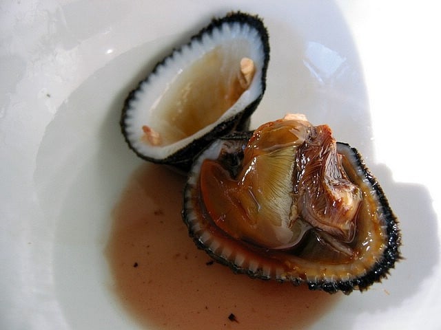 Blood Clams