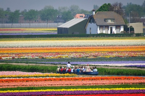 keukenhof whisper boat ride