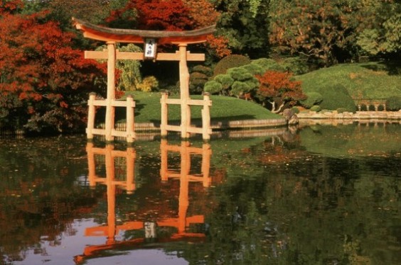 Japanese Garden Brooklyn