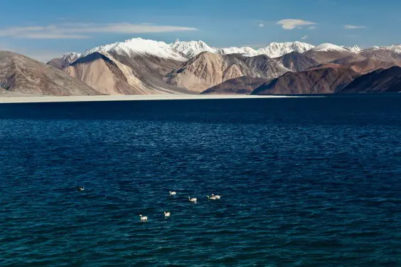 Pangong Tso, Himalayas