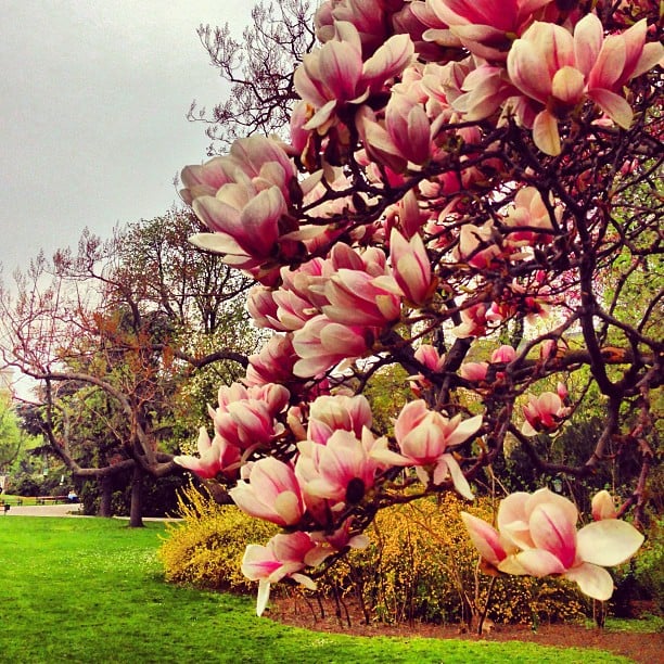 Stadtpark Vienne