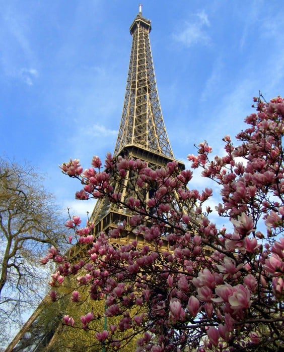 Eiffel Tower in the Spring
