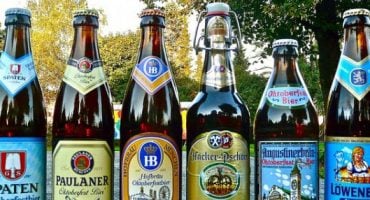 Oktoberfest Beers: Which is the One for you?