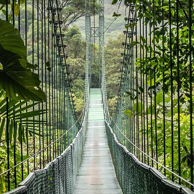 puente en costa rica