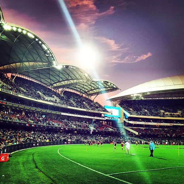 campo de futbol adelaida