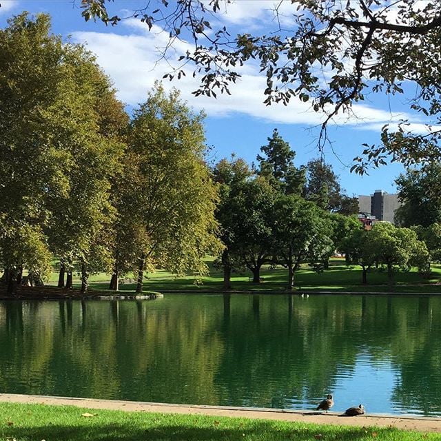 parques en adelaida