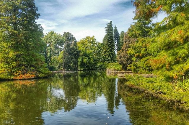 jardin botánico de adelaida