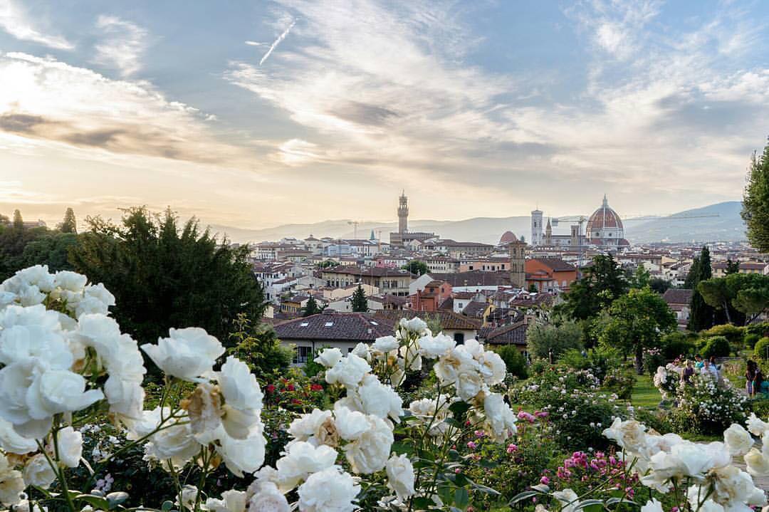 the florence skyline on a sunny day from above