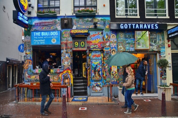 bulldog coffee shop in amsterdam