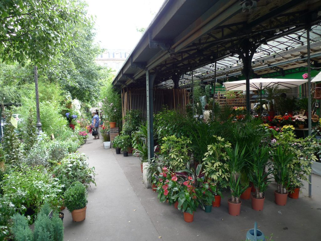 Marché aux fleurs in Paris