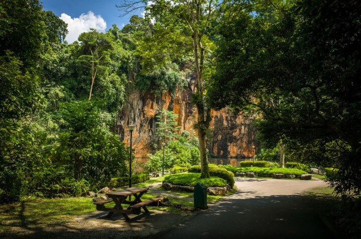 Bukit Timah Nature Reserve - singapore
