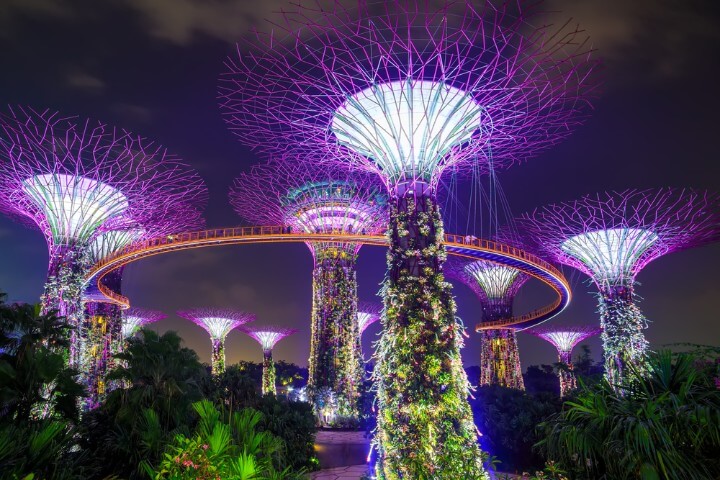 gardens by the bay - singapore