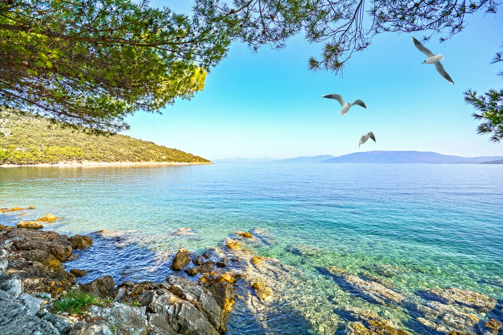 Cres island in Croatia
