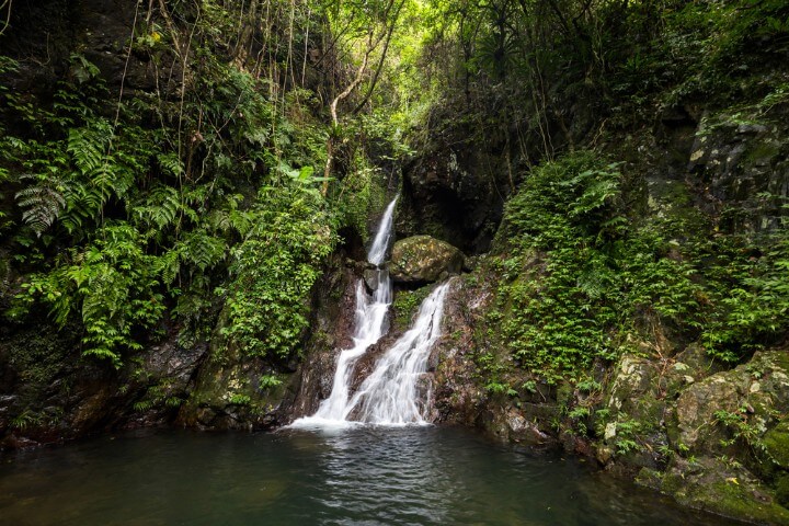 Tai Mo Shan Country Park waterfall in hong kong