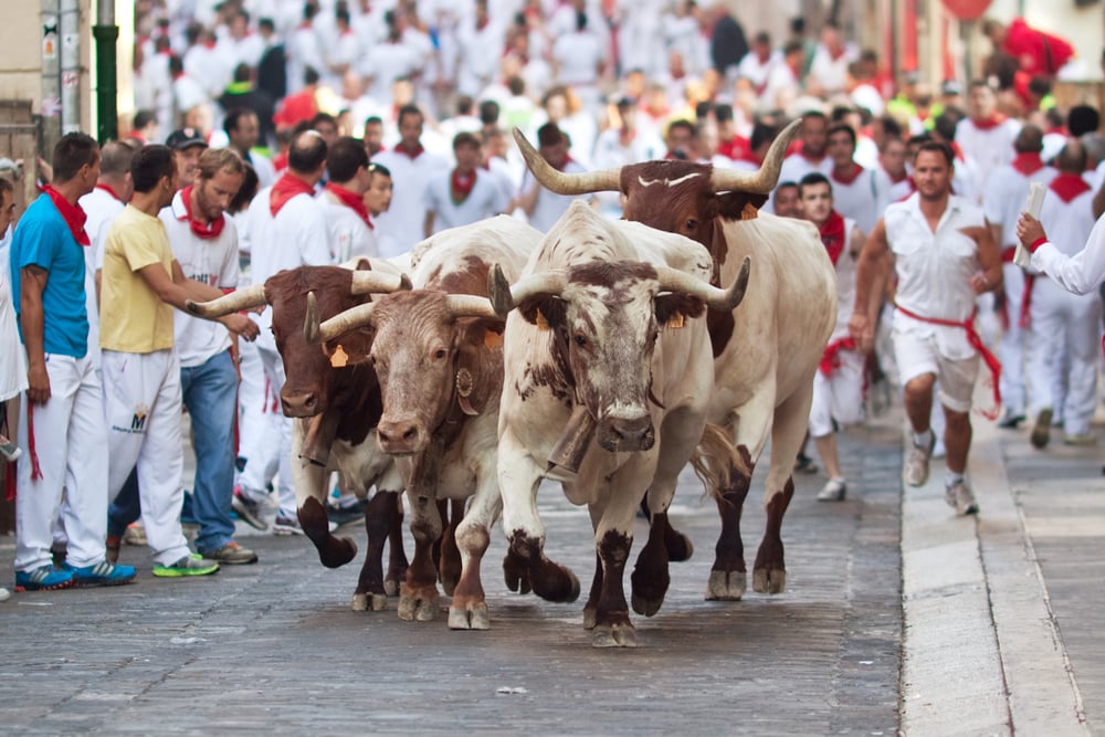 Running of the bulls in San Fermin