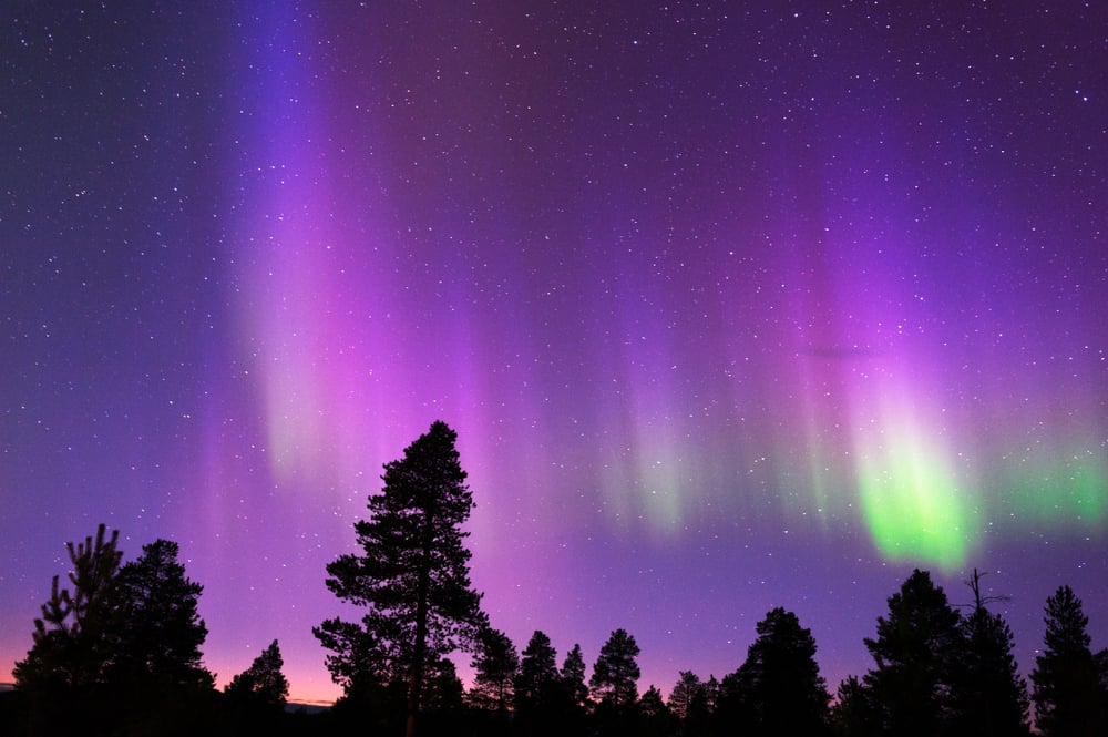 Aurora,Borealis,,Northern,Lights,,Above,Boreal,Forest.