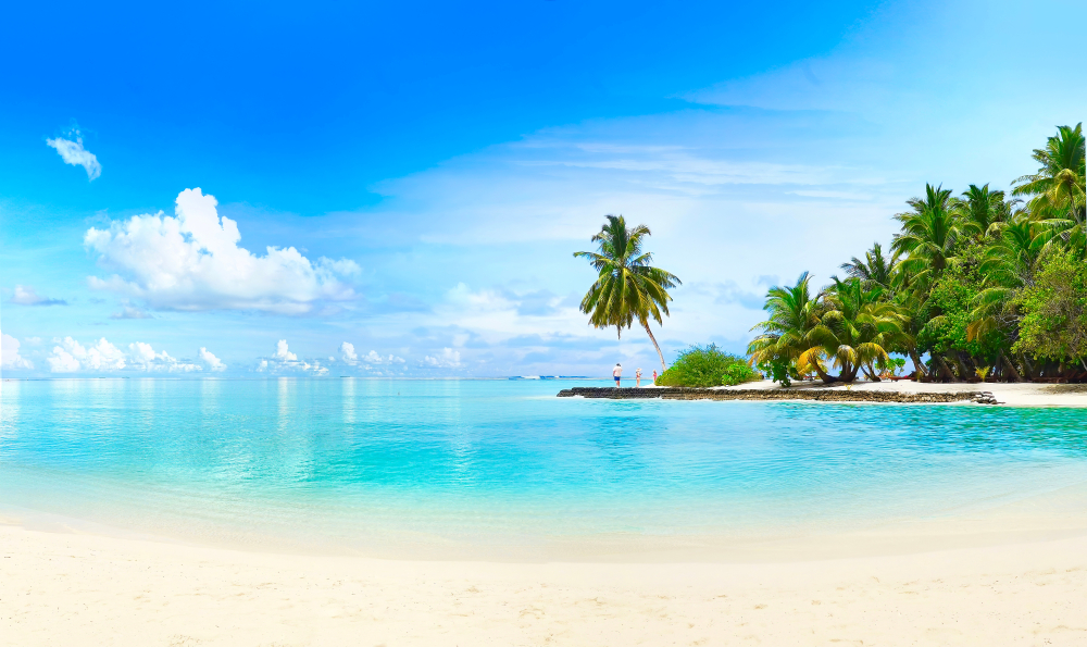 beautiful beach with palm trees