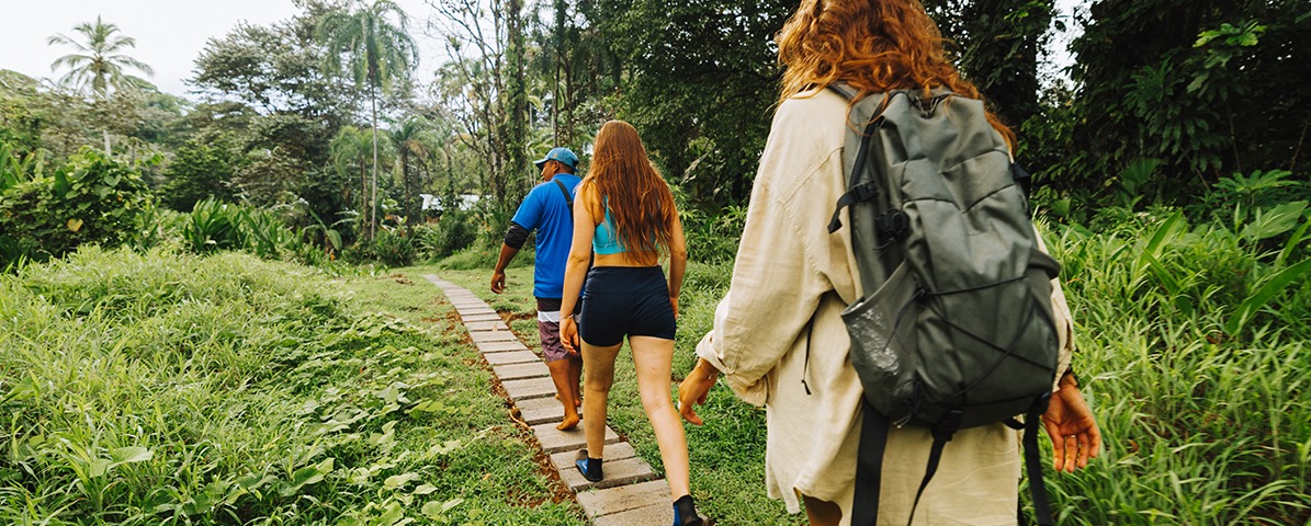 Trails in Portobelo National Park