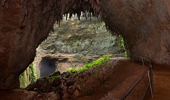 Camuy River Caverns